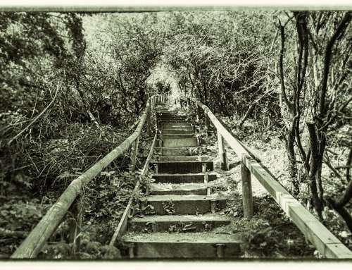 Aufstieg ins Ungewisse