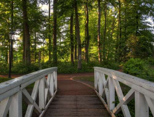 Brücke ins Grüne